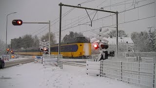 Spoorwegovergang Elst  Dutch railroad crossing [upl. by Mercorr668]