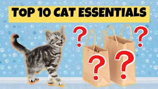 Cat Essentials You Need Top 10 Cat Supplies GIVEAWAY [upl. by Artie]