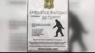 Viral flyer about Sasquatch being spotted in Kootenai National Forest is fake [upl. by Nicoli787]