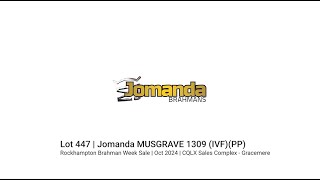 Lot 447 Jomanda MUSGRAVE 1309 IVFPP [upl. by Tan20]