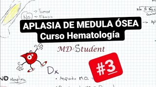 ¿Qué es la Aplasia Medular 🩸  Curso Hematología 3 [upl. by Addi]