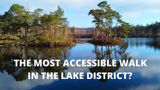 Tarn Hows  Lake District Family Walk Near Ambleside  PRAM FRIENDLY  Feat Drone Footage [upl. by Colleen326]