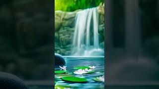 Relaxing Piano Music Relieves Stress amp Anxiety 🌿 Healing Water Sounds for Spa Deep Meditation [upl. by Kcirnek818]