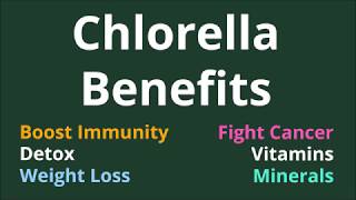 Chlorella Benefits Immunity Detox Weight Loss Cancer Vitamins Miinerals [upl. by Aliuqahs]