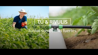 Tú y Rivulis  Juntos somos más fuertes Tomates y TTape y H6000 y conectores [upl. by Edana]