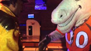 Miles  Denver Broncos Mascot  Bronco Handshake [upl. by Kristos]