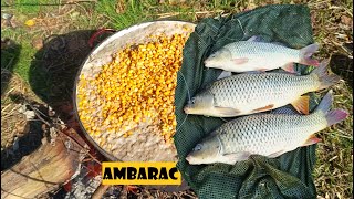 Ambarac košava i šarani  ko se zadnji naspavanajslađe se naspava  PECANJE ŠARANA  CARP FISHING [upl. by Roos]