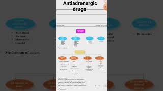 antiadrenergic drugs classification pharmacology alphabetaadrenergic blocking drugs [upl. by Valery163]