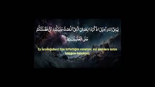 Beautiful Quran Recitation with Turkish Translation I Surah Al Baqarah 4748 I Wadee Al Yemeni [upl. by Anerec610]