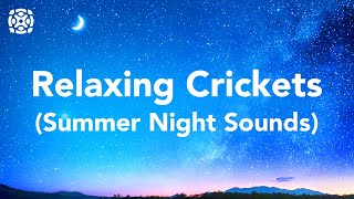 Night Time Summer Nature Sounds Cricket Conversations For Sleeping 12 Hours [upl. by Zinnes204]