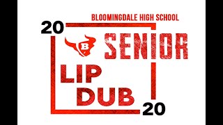 Bloomingdale High School Class of 2020 Senior LipDub [upl. by Willetta]