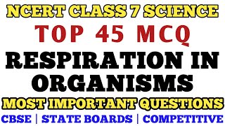 Best MCQ Class 7 Respiration in Organisms Full Chapter  Class 7 MCQ Science  Class 7 Science [upl. by Del]