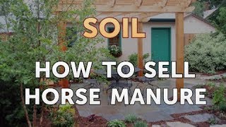 How to Sell Horse Manure [upl. by Olumor]