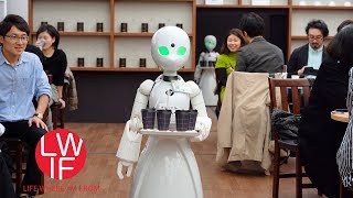 A PopUp Japanese Cafe With Robot Servers Remotely Controlled by People With Disabilities [upl. by Sagerman]