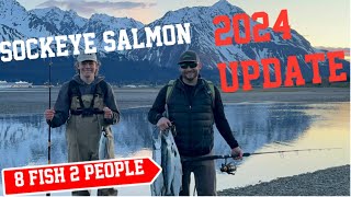 Seward Alaska Salmon run Tips and Report 2024 [upl. by Evadnee]