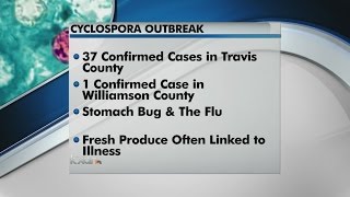 Cyclospora outbreak [upl. by Romona]