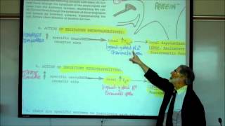 SYNAPTIC TRANSMISSION IN THE CNS PART 1 by Professor Fink [upl. by Einahpats]