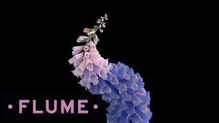 Flume  Helix [upl. by Quillan465]