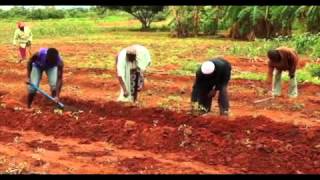 Climate Change Agriculture and Poverty Alleviation CCAPA [upl. by Laro]