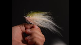 Bob Popovics Bucktail Deceiver [upl. by Hephzipa770]