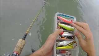 Rapala Flat Rap FLR10 for River Seabass [upl. by Eldwin]