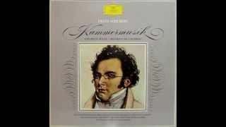 Schubert Chamber Music DG 8 LP Box Set  LP 5  Piano Trio in Eflat major D 929 [upl. by Eilrebmik]