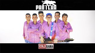 Pantera  Enganchado de Cumbia y Plena AGOSTINI LEADERLOWDANNIBALE [upl. by Aveer]