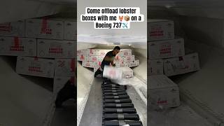 Come offload lobster boxes with me 🦞📦 on a Boeing 737✈️ aviation boeing [upl. by Salem178]