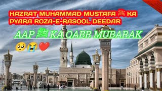 Mere Aaqa ﷺ ka Roza Mubarak kis kis ke Saath Hain  Abu Bakar ka Qabr or Umar ka Qabr kaha Hain🥺❤️ [upl. by Doris]