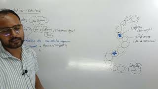 Cyanobacteria  KINGDOM MONERA  EUBACTERIA CLASS 11  CYANOBACTERIA CLASS 11 [upl. by Ayikur]