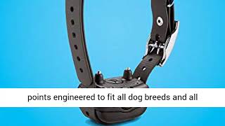 Garmin BarkLimiter Deluxe Rechargeable Dog Training Collar [upl. by Alaric]