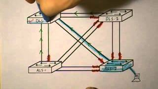 How Spanning Tree Protocol Prevents Loops [upl. by Hsaka205]