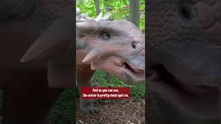 Needs More Meat dinosaur education educational ankylosaurus science paleontology [upl. by Eisac]