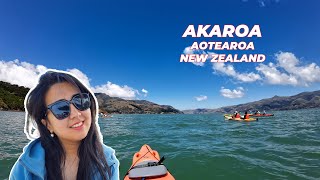 Akaroa Kayaking and Kaikōura Kahawai Catch and Cook [upl. by Fital]