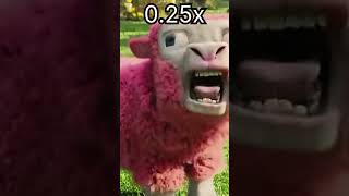 minecraft movie sheep go bahh funny spedup minecraftmovie meme minecraft [upl. by Hurwitz]