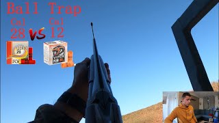 Ball trap préparation Chasse  calibre 28 vs calibre 12  analyses de tirs [upl. by Ibson293]