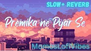 Premika Ne Pyar Se Slow  Reverb MomosLofiVibes [upl. by Melise197]