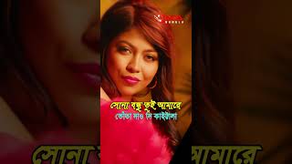 সোনা বন্ধু তুই আমারে ভোঁতা দাও দিয়া কাইট্টা লা  Xefer New Song xefer spicysong xeferspicysong [upl. by Issim]