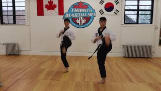 POOMSAE 3 Instructional [upl. by Eceinert]