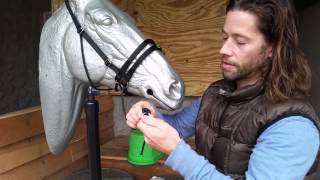 Ultimate Bitless Bridle UBB  How to put on and Adjust the UBB [upl. by Lavery]