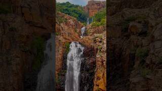 The heaven on Earth Tirupathi Tirumala🥹 tirupathi tirumala govinda venkateswara heaven shorts [upl. by Fiertz]