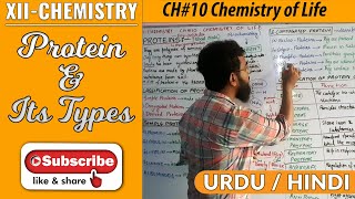 105 PROTEIN amp ITS TYPES  CH10  Chemistry of Life  XII  Chemistry [upl. by Elfie]