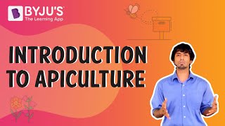 Apiculture or Beekeeping Introduction  BYJUS [upl. by Domenic425]