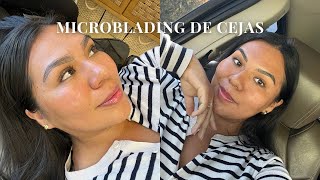 MICROBLADING DE CEJAS VLOG  vamos a mi cita  mi proceso completo [upl. by Eenehs]