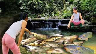 TIMELAPSE Tops best fishing videos catching fish selling fish daily life best country girls [upl. by Daiz588]