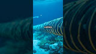 The Secret heroes of Internet Undersea Cables  besmart  shorts facts internet sea tech [upl. by Zusman580]