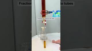 Column chromatography experiment shorts experiment chromatography education [upl. by Nissie]