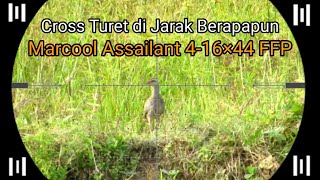 Berburu Burung Sintaran Cross Turret Marcool Assailant 416×44 FFP  NHX reborn Handzchoke Barrel [upl. by Ydner]