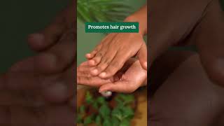 Ayurvedic Hair oil to Nourish Strengthen amp Shine hair ayurvedaorganichaircarehairgrowthproducts [upl. by Airehs879]