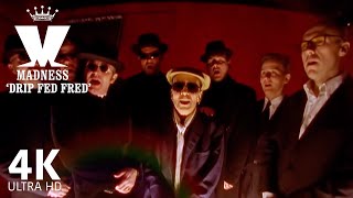 Madness  Drip Fed Fred feat Ian Dury Official 4K Video [upl. by Attenhoj718]